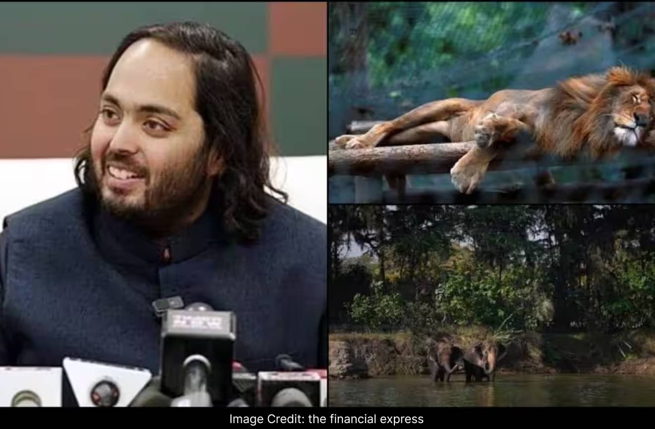 Anant Ambani’s Vantara Pledges to Plant 1M Trees Annually